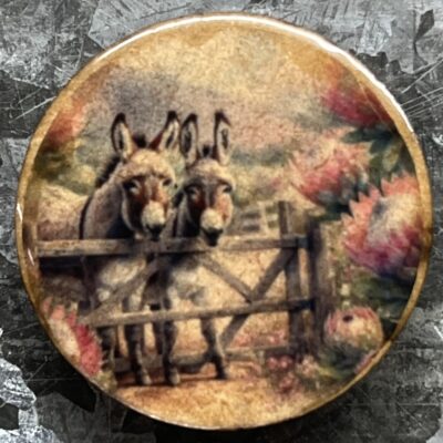 Donkeys With Proteas 2 Magnet 30mm